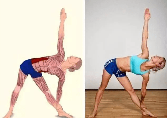 如何快速放松腹部肌肉 f5a85285fe9e42499ec940318e3d788e.png