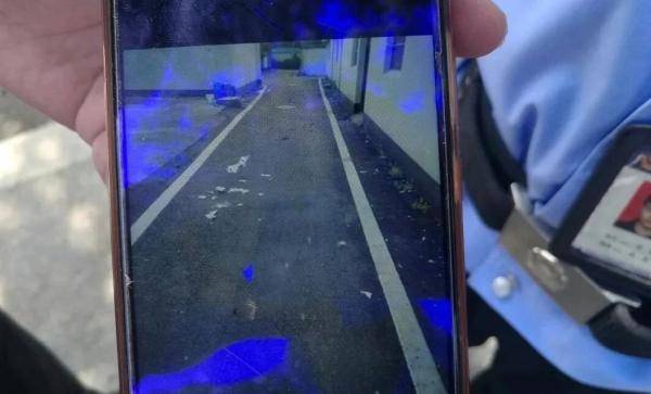 鸡毛|一夜之间16只鸡惨死，“凶手”被查！
