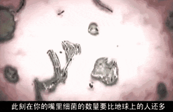 口腔|重度口臭者不刷牙，却依然口气清新？他只做了一件事...