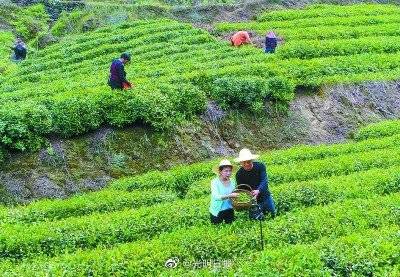 下营村|湖北十堰下营村：靠电商生意发家致富