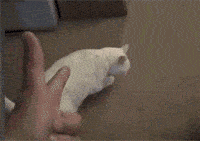 要不要那么可爱那么萌!_演技派