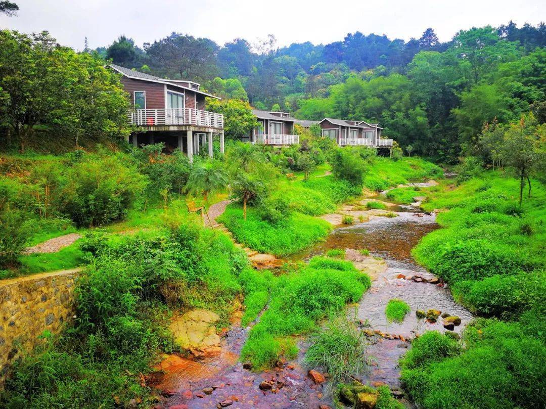 桂平市荣获"广西森林县城"称号,更有多个乡村上榜!