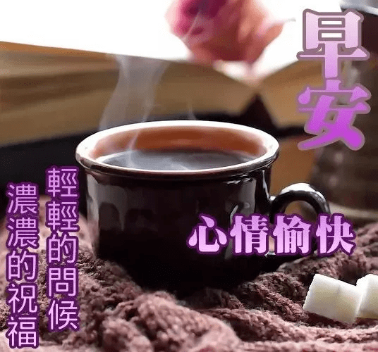 朋友圈早安问候语图片带字,周一清晨唯美的早晨祝福图片表情