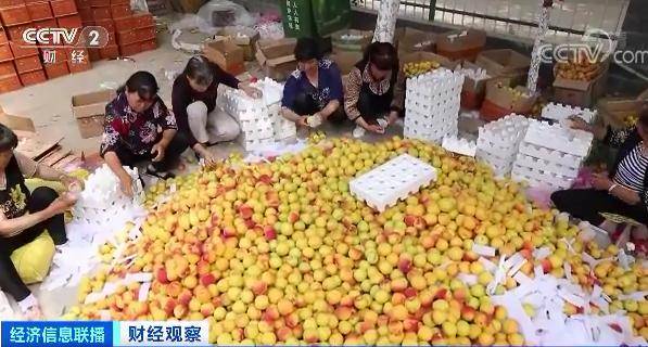 奶奶|火了，乘风破浪的奶奶！80岁直播带货，一天卖出1万元！