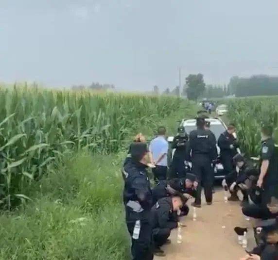 任丘市有多少人口_任丘市里有几条街(2)