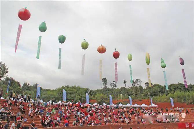 富民县赤鹫镇经济总量_富民县罗免镇照片