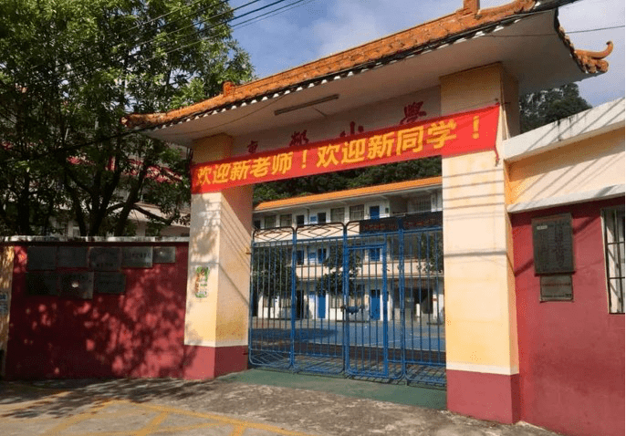 紫茶|里村小学焕“新”，访谈紫茶教育集团里新小学校长万川