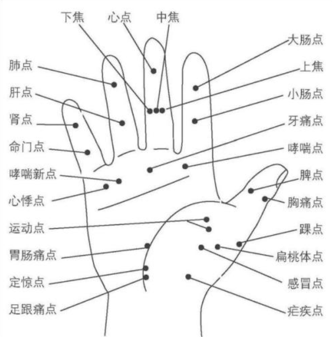 神奇的手疗轻轻摸摸手掌手背就能调百病