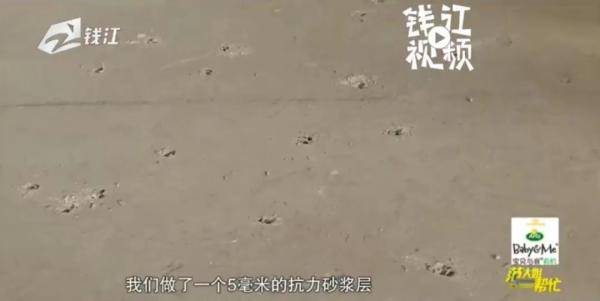 地板|杭州女子踏上新家地板，竟然步步生“洞”？