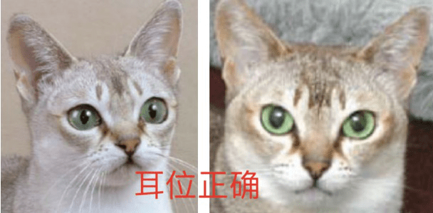 a4d1e7c50cb3469085f6f6df8a5d00ab.png