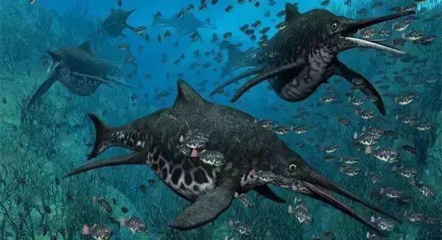 十大最凶猛史前海洋怪兽排名第一的毫无争议