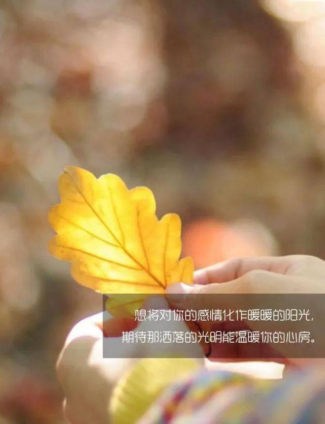 人生感悟很棒的一段话