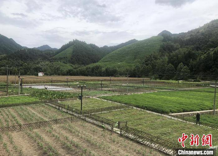 源村|由小农场看大文章：浙江省域国土空间“呵护记”