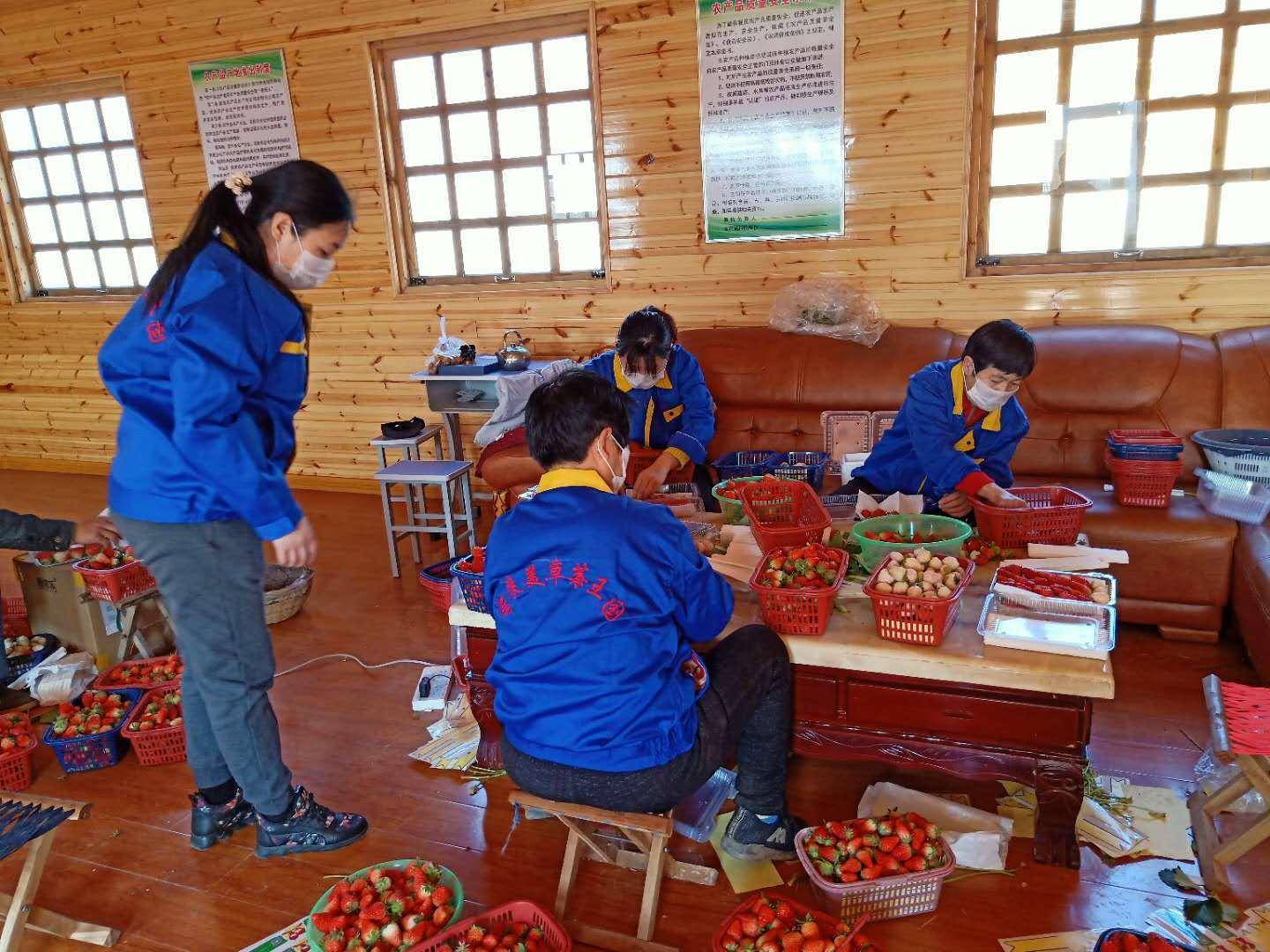 岱岳区|电商经济成为岱岳区经济发展新“引擎”