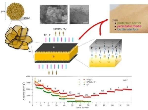 研究|锂离子电池硅负极研究取得进展