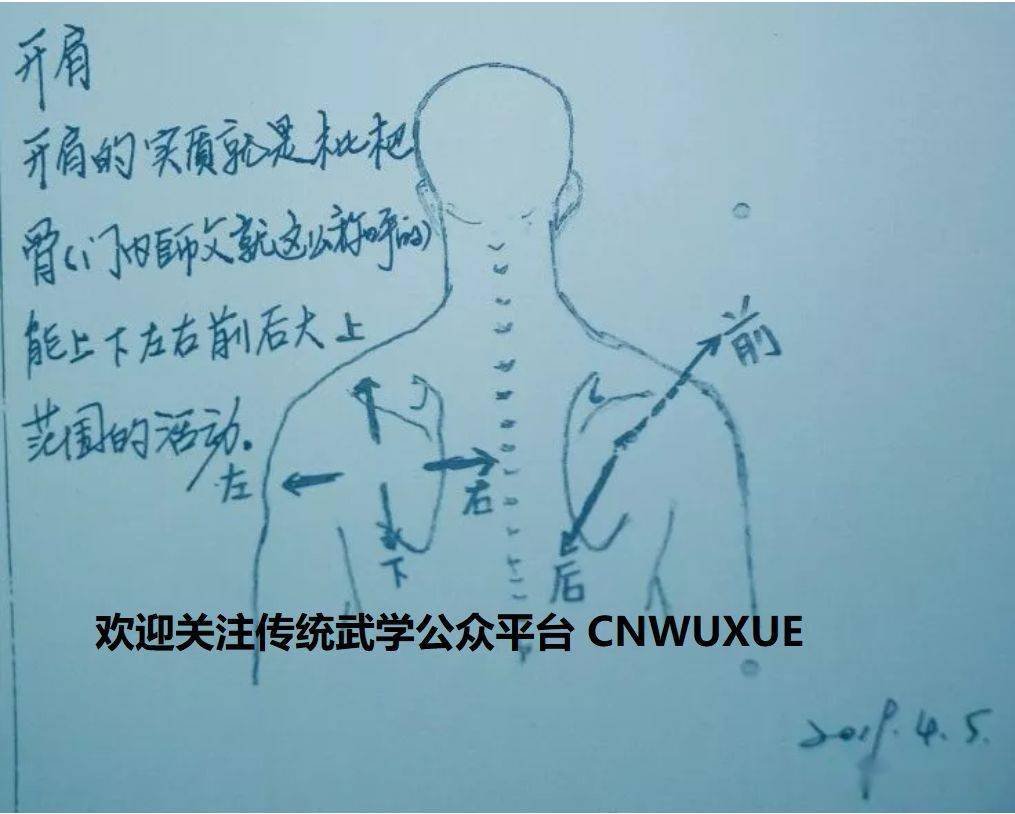 解密含胸拔背松腰落胯