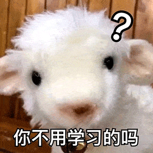 26afd7fe40224c12bdd09f335cbd9598.gif