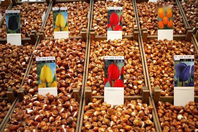 写作|“虽然没什么用但有点意思”的11个冷知识