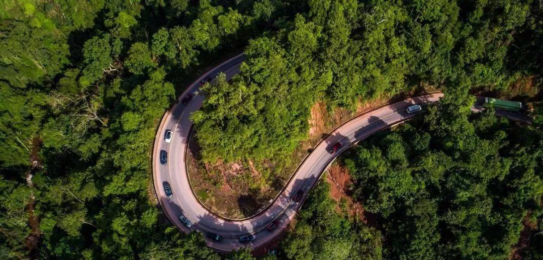 热带雨林|还好吃!【逛吃】西双版纳不仅美