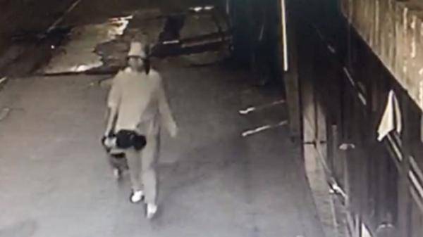 平安|“孕妇离家失踪50多天”：已平安找到 并未怀孕