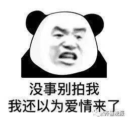 a16504de472a4a9ba3c16c0199c72161.jpeg