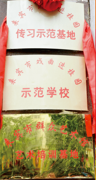 特长生|来宾市第二中学2020年体育艺术特长生招生啦