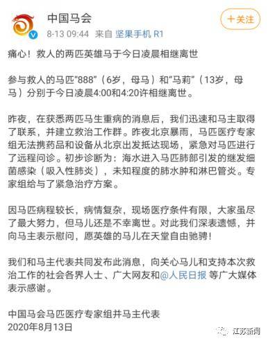 噩耗传来|3男子骑马冲进海里救起12岁男孩！半个月后，噩耗传来…