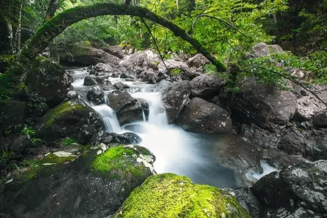 高温强势回归,晴热霸屏!景宁这几处私藏小众清凉避暑胜地,值得一去!