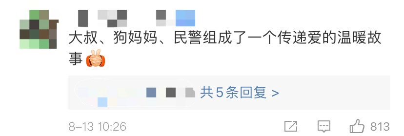 宝宝|这一幕感动众网友狗妈妈跳入洪水救宝宝
