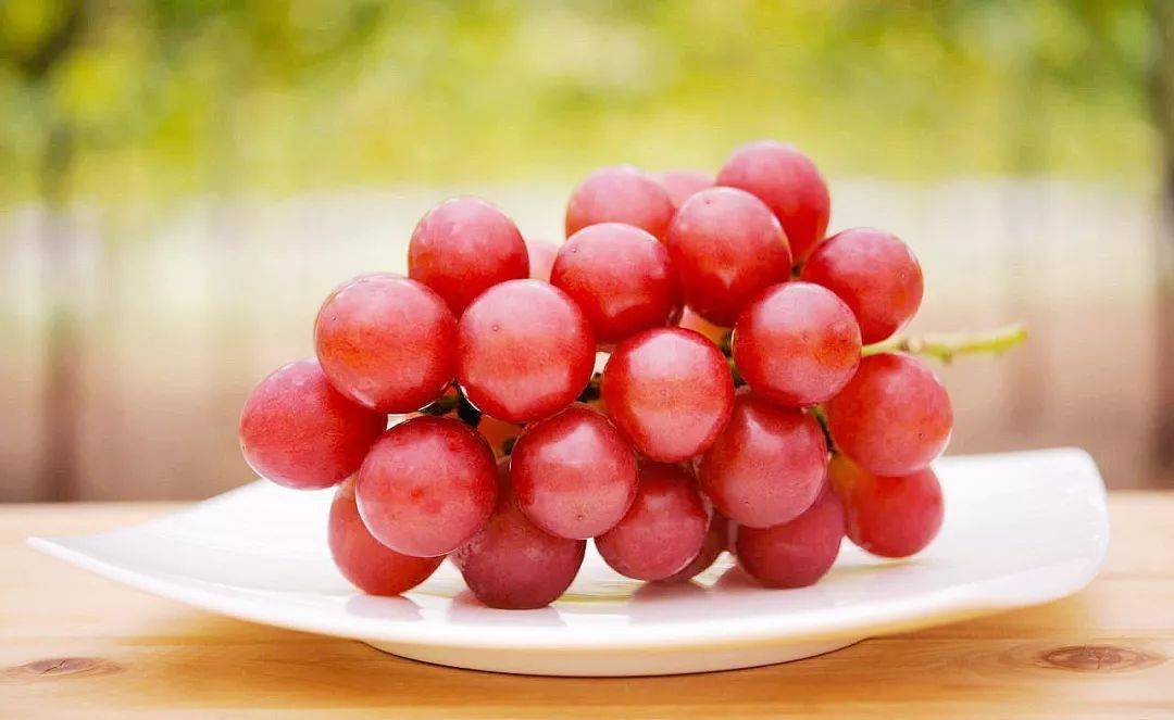 苹果最贵的是什么品种 9f64274d743c43bcbbe2640857b6ebe9.jpeg