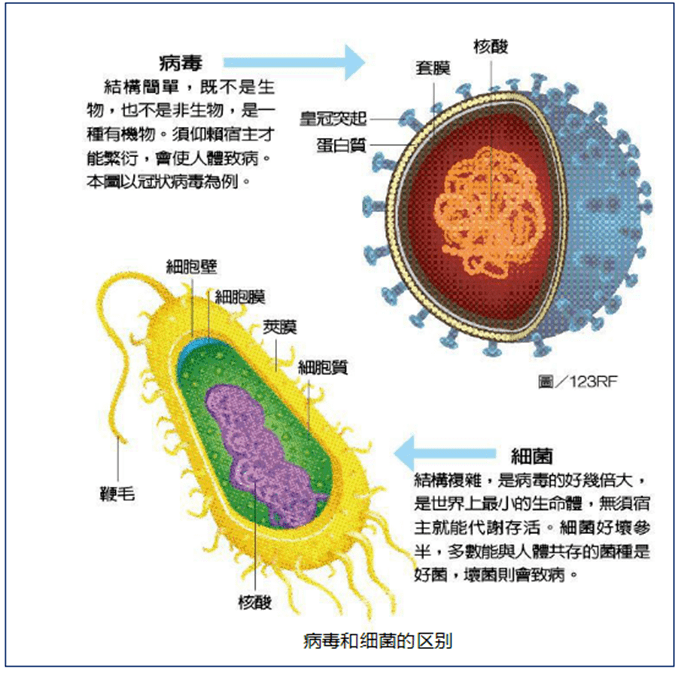 酒精杀病毒是什么原理_酒精过敏是什么症状