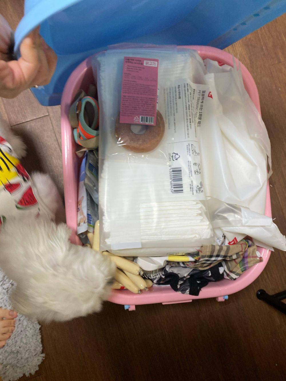 留学生|微博“票代”借售机票设连环套……骗数十留学生上百万！