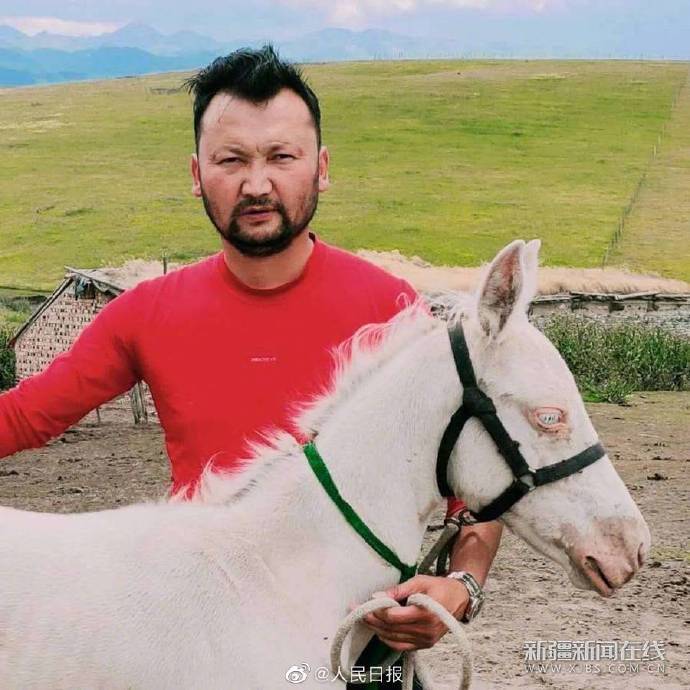 马主|新疆马主向福建救人马主捐赠伊犁马