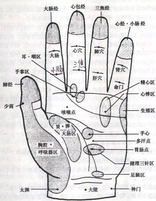 球探足球即时比分随时随地掌握最新赛事动态