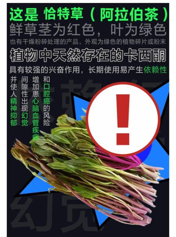 片剂|贵州一男子为寻找灵感，竟网购毒蘑菇！快扩散，这些都是新型毒品……