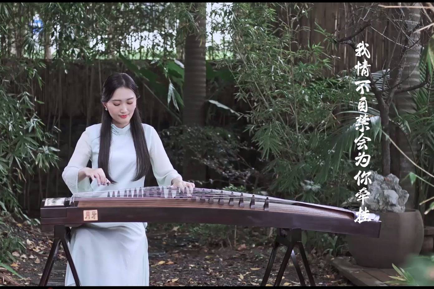 古筝翻奏浪人琵琶cover胡66