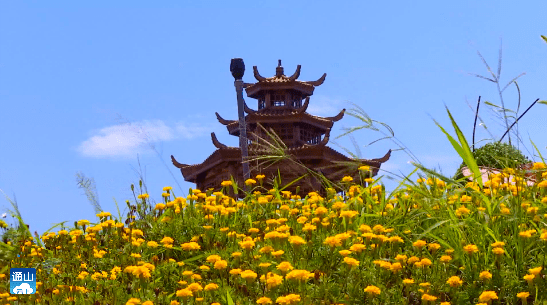 通山王明璠花海项目建设提速