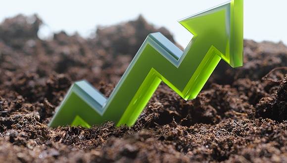 公司|连续三天大涨27%，中国人寿发公告澄清与新华保险合并传闻