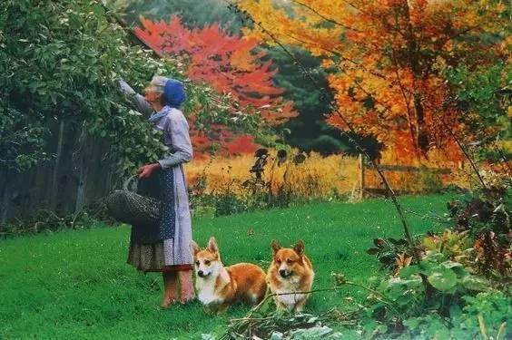 习惯|优雅到老该有的40种好习惯，真得好好看看！受益无穷