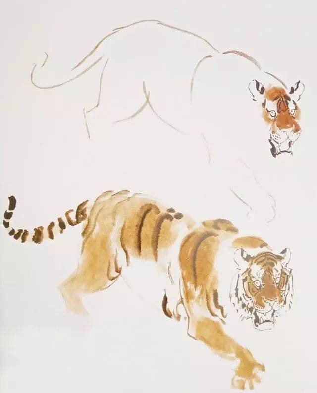 【国画教程】写意老虎的画法