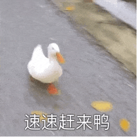 厦门|快讯！2020年厦门中招录取结果可以查询啦！