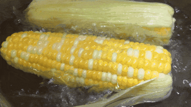 44a0bc19da994e4fad647e4429d8602b.gif