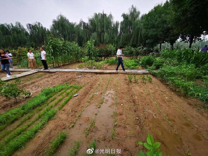 开心农场|学校里有个“开心农场”