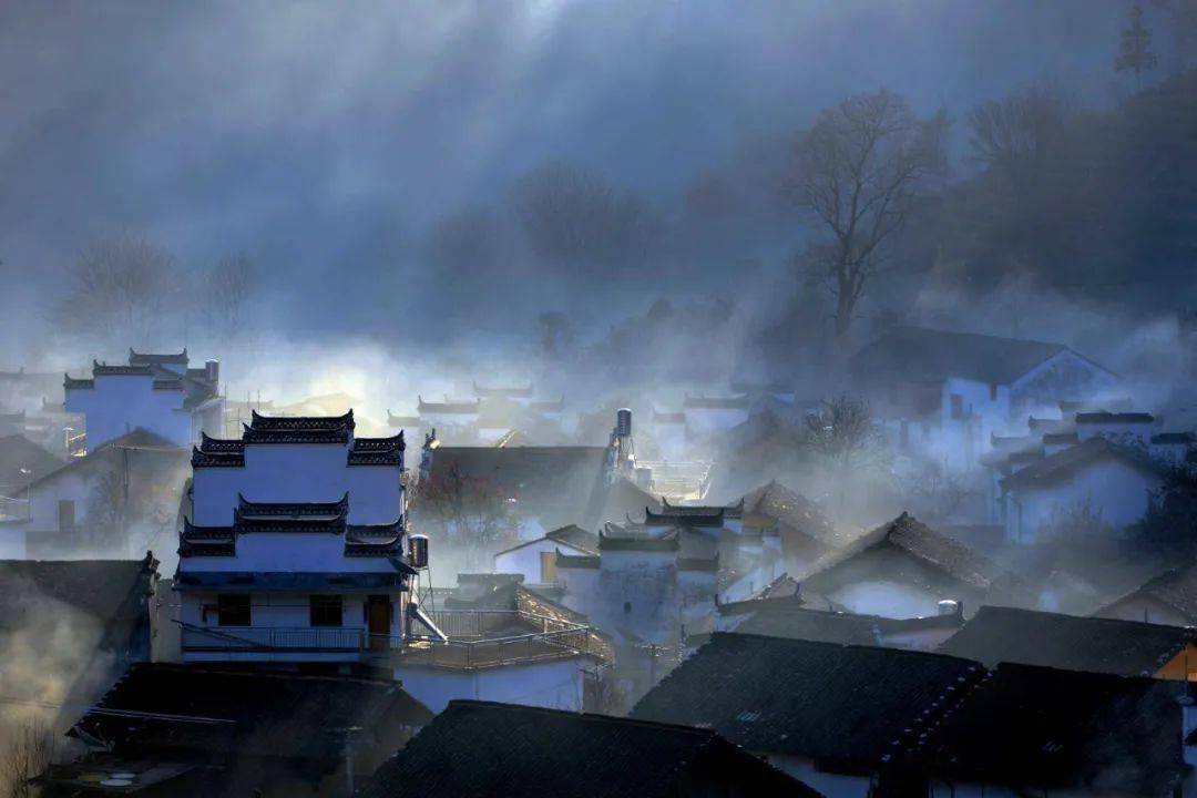 一城烟雨一楼台,一花只为一树开