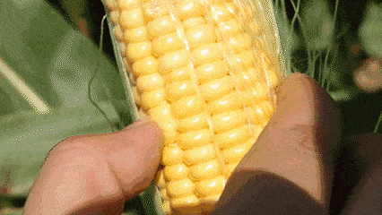 cadb0a5fd10542cab9403f3c77267773.gif