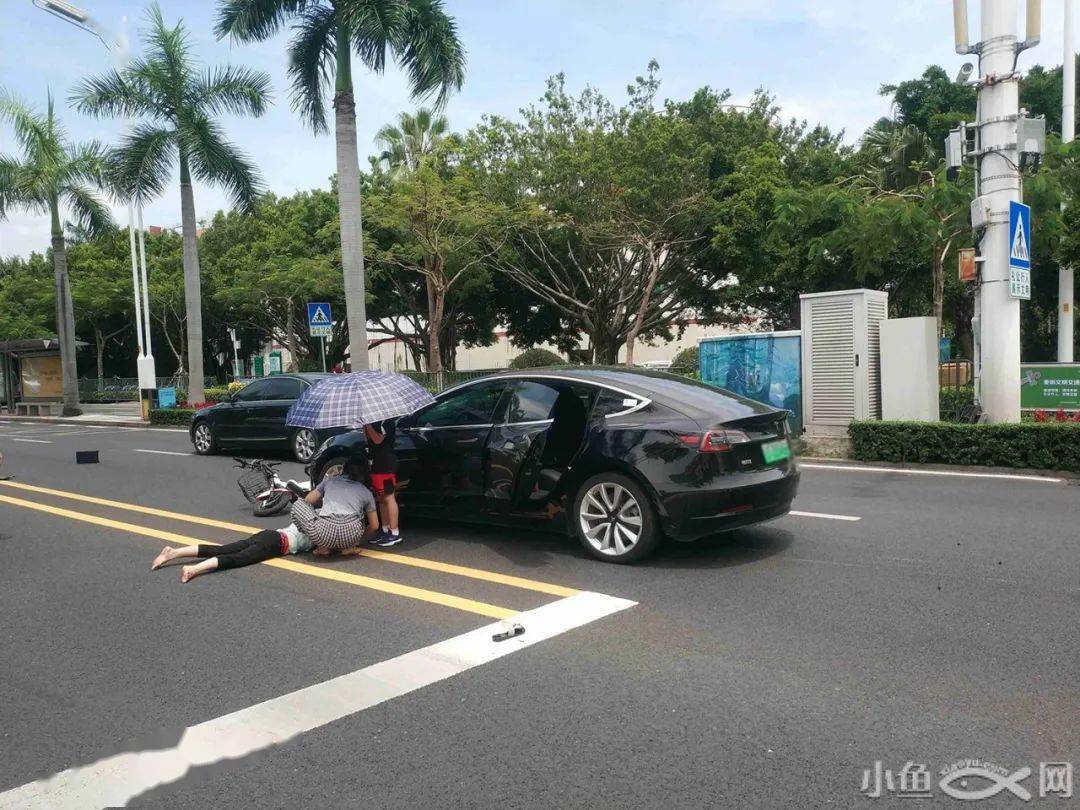 突发:斑马线附近被撞!厦门白鹭洲,特斯拉撞电动车,骑手倒地.