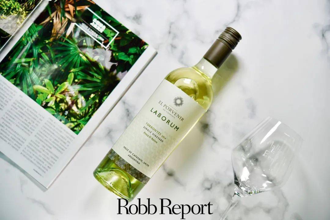 味道|RR · LIFESTYLE | 百不一遇蚝酒间