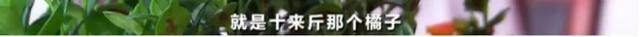 每粒|880元的微商减肥产品含禁药 每粒成本只有七八毛钱