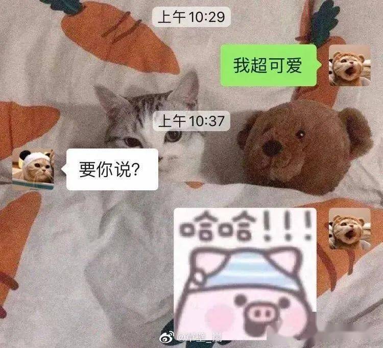 cba1d5028e374711bbb21e3d67ee8a77.jpeg