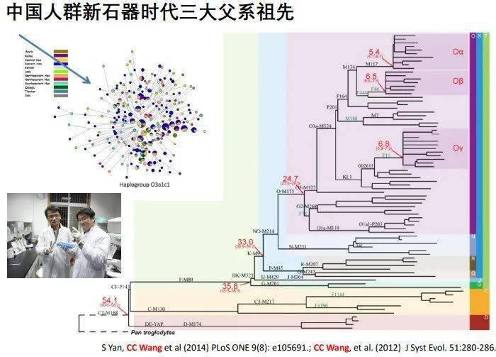 2019汉族人口比例_汉族人口分布地图图片(2)